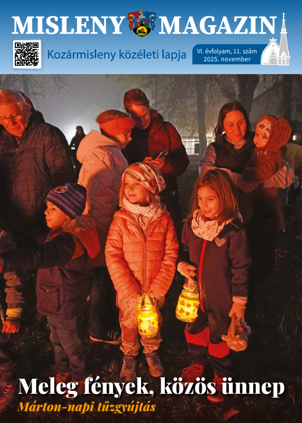 VI. évfolyam 11. szám (2025. november)