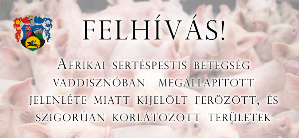 Afrikai sertéspestis fertőzés