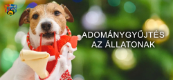 Adománygyűjtés az állatoknak!