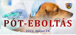 Eboltás 2022.