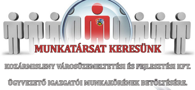 Álláspályázat - Ügyvezető igazgató